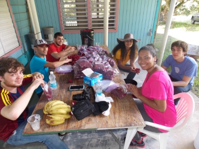 Puerto Rico Chapter Rambutan Pickup