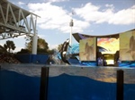 The Florida Chapter has a Whale of a Time at SeaWorld