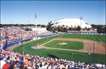 Florida Chapter Baseball Concessions