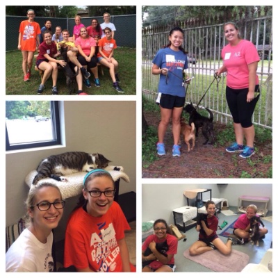 Florida Chapter: Humane Society Service Event