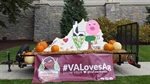 Virginia Chapter Advocates for Agriculture through #VALovesAg