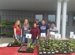 Cal Epsilon Volunteers at the Spring Veggie Plant Sale!